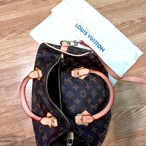 LV Purse